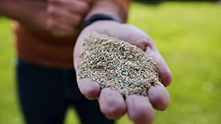 Scotts Turf Builder Quick + Thick Grass Seed (Dense Shade) 1.2kg (12675)