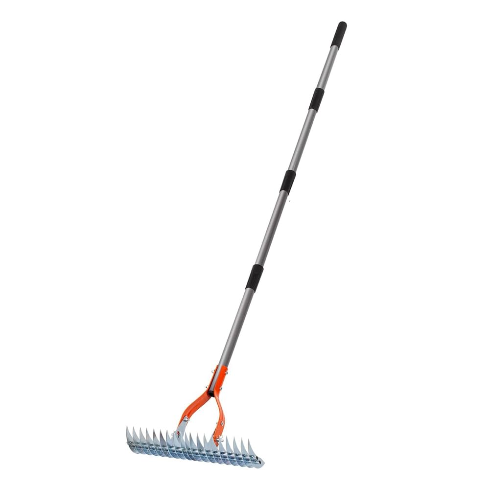 Ehwisbe Lawn Thatching Rake, 15-Inch Thatch Rake In Steel Metal, Includes Handle, Versatile Grass Grooming Tool Robust