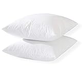 WHITEWRAP 20"x20" Set of 2 Throw Pillow Insert Decorative Polyester Filling Premium Hypoallergenic S