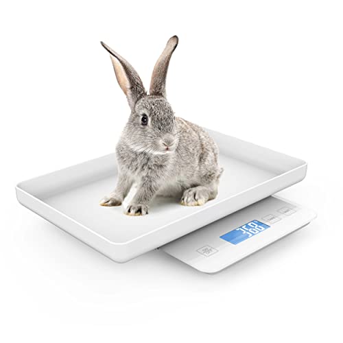 Multifunctional Newborn Pet Scale With A Tray To Weigh Cats And Puppy, 33Lbs With Accuracy ±0.03Oz, Suitable For Pets And Kitchen Use, Tray Size 11.5"X 9"In (White) #TOP4