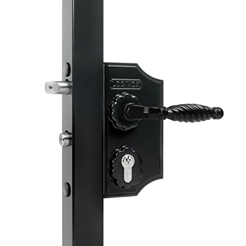 Locinox LAKY Serrure à grille décorative pour portes à bijoux | Revêtement par poudre (RAL 9005 – noir profond, largeur du cadre 50-60 mm)