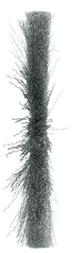 Image of Weiler 01319 12 inch Narrow Face Crimped Wire Wheel, .0118 inch Steel Fill, 1-1 /4 inch Arbor Hole, Made in The USA (Pack of 2)