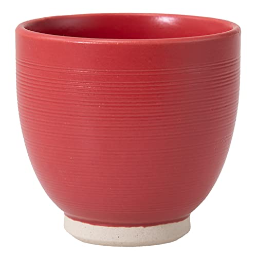 C g  eʖ180ml Ԑi  20790