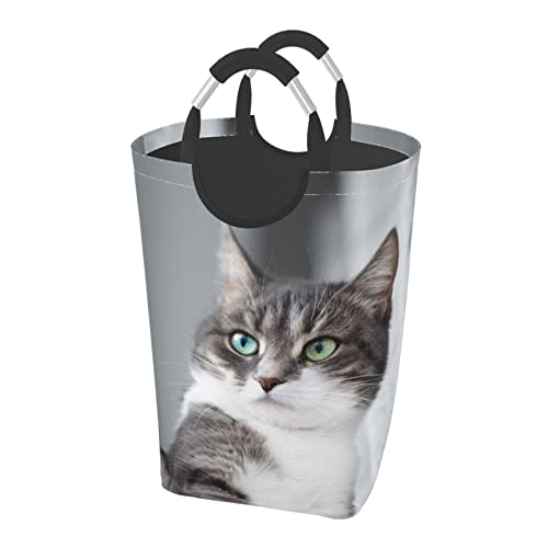 猫柄 動物 かわいい ランドリーバスケット 洗濯ボックス 収納バッグ 大容量 折り畳み式 持ち運び 撥水 ハンドル付き 軽量 省スペース おしゃれ 適した ホテル ユーティリティルーム トイレ キッチン(50l 32*28*57.5cm)