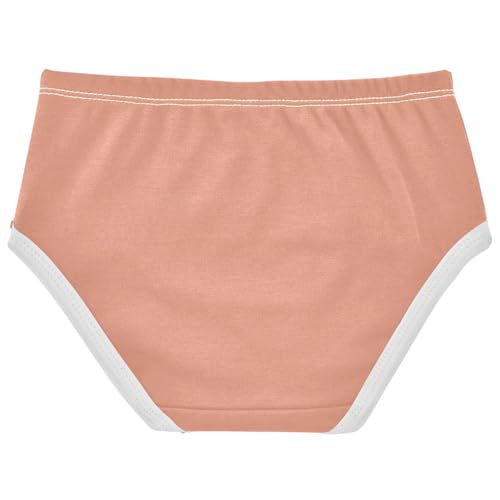 Joisal Dark Salmon Girl Panties Cute Girls Underwear Toddlers Cotton Funny Briefs Girls Undies 2t2