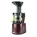 BioChef Quantum Exprimidor de prensa en frío - Exprimidor de masticación lenta para frutas y verduras | Máquina exprimidora de prensa fría | 37 RPM para nutrientes máximos (borgoña)