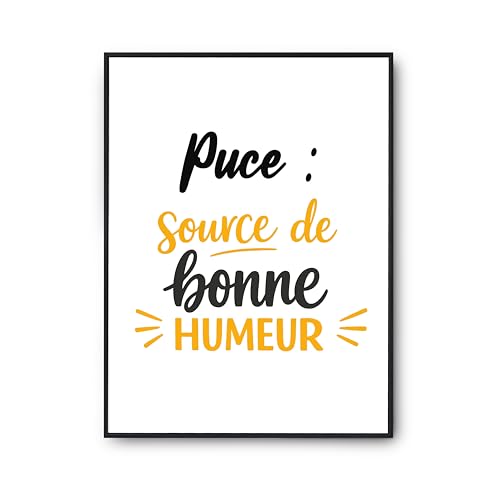 Poster citation humour Otshirt : affiche Puce décoration murale salon et idée cadeau anniversaire