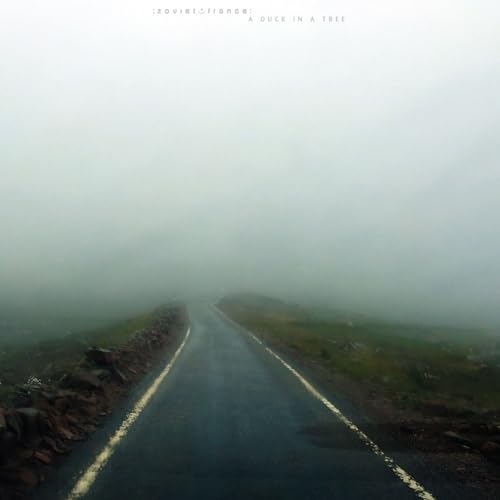 A Duck in a Tree 2025-11-22 | Spontaneous Departure