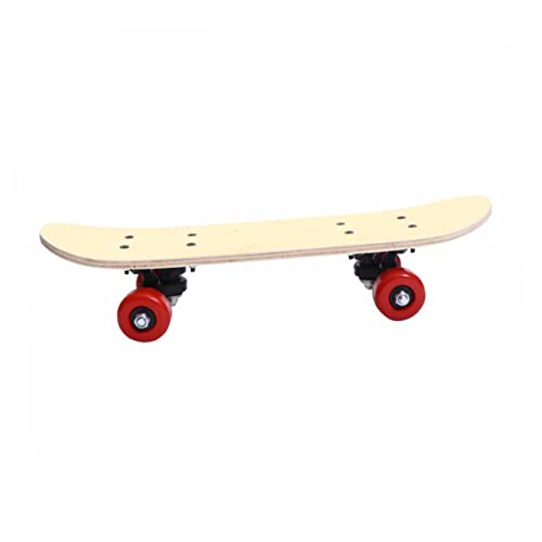 HONMEET Skateboard DIY Kit for Kids Blank Skateboard -Painted Surface (43cm Unique Artistic) Random Color