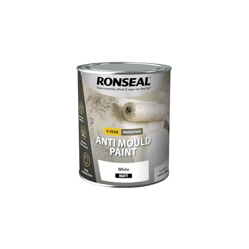 RONSEAL AMPWM750 Anti Mould Paint White Matt 750ml