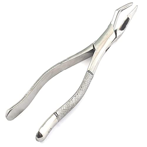 AA PRO Dental EXTRACTING Forceps 65 Upper INCISORS ALVEOLAR Bone Teeth Instruments A+ Quality