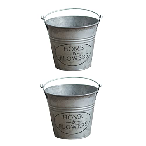 TOYANDONA 2stücke Blumenkasten Vintage Aus Eisen Garteneimer Retro...