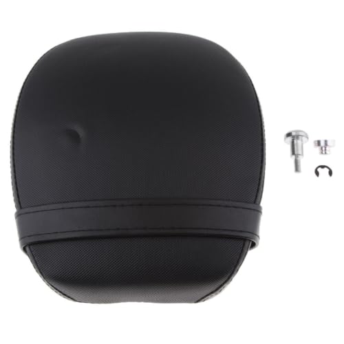 Cojín de pasajero Sportster XL1200 con cuero sintético y acabado de alta resistencia 2