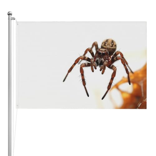 Bannière pour décoration murale d'intérieur et d'extérieur drapeau araignée