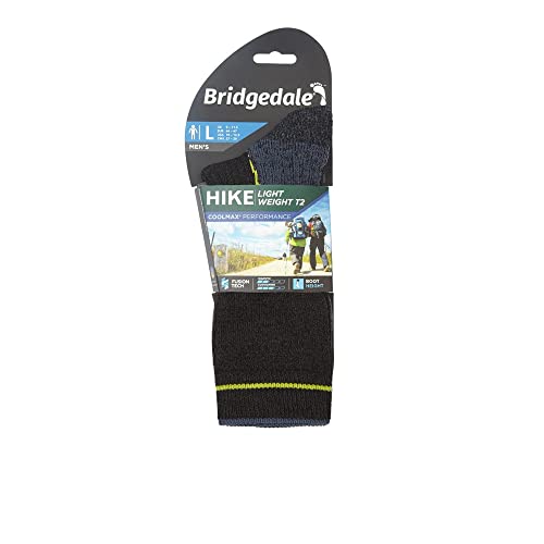 Bridgedale3