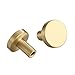 8 Pcs Brushed Brass Cabinet Knobs, Gold Drawer Knobs, Round Kitchen Cabinet Cupboard Closet Pulls Door Knobs Handles for Kitchen Dresser Drawer Knobs, with 1 x Mini Screwdriver (0.78