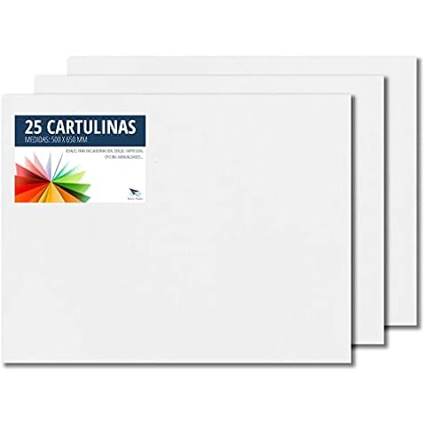 Cartulinas de colores Raylu Paper de 50x65cm, 25 unidades, 180g/m² Cover