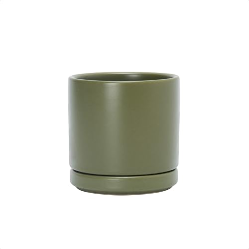D'vine Dev 3.5 Inch Ceramic Planter Pot, Olive, 94-O-A-J