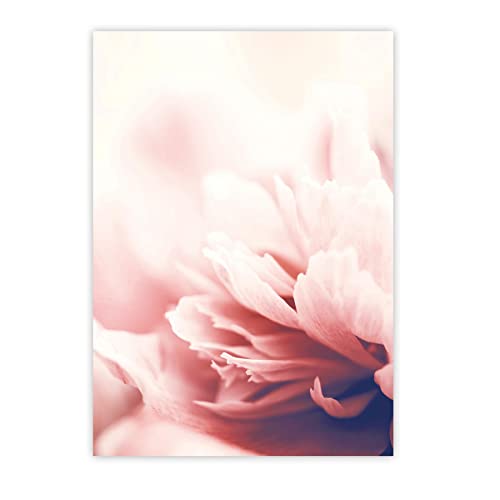 Close Up Póster de flores rosas de París – DIN A4 (21 x 29,7 cm) – Premium Vintage Rose – Peonía impresión artística Homedecor