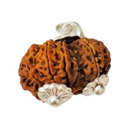 BluDiamond Original Gauri Shankar Rudraksha गौरीशंकर रुद्राक्ष Gori Shankar Nepali Rudraksha Bead Natural Gawri Shankar Rudraksha With Silver Pendant Pure Combined Rudraksha Lab Certified For Jap-image-41