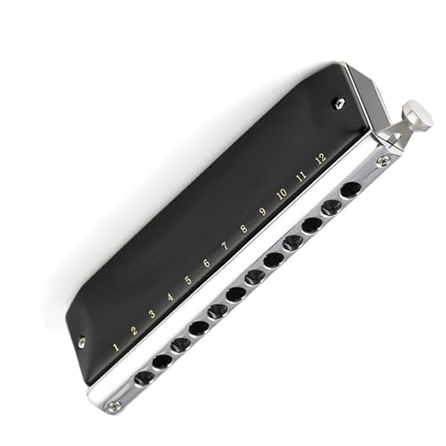 12 穴 C キー選択されたリン青銅ゴングクロマチックハーモニカ楽器マットスプレープロセス 初心者ハーモニカ