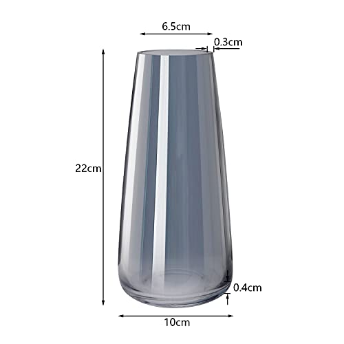 Vaas van glas, hoge helder glas, conische vazen, bloemenvaas decoratief met massieve ijsbodem, in stijl vaas voor thuiskantoor, 10 x 6,5 x 22 cm (Crystal Grey) - Afbeelding 3