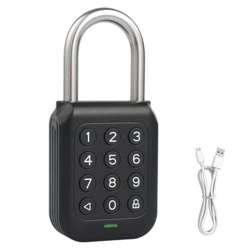 Cadenas électronique intelligent Alpha1 robuste en acier
