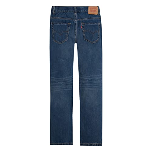 Levi's Boys' 505 Regular Fit Jeans, Clouded Tones, 10