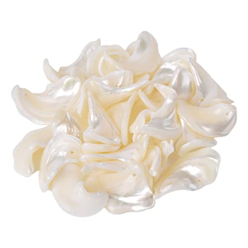 Image of 100 grams Small Tumbled Chips Polished Crushed Stone Crystal Healing Embellishments