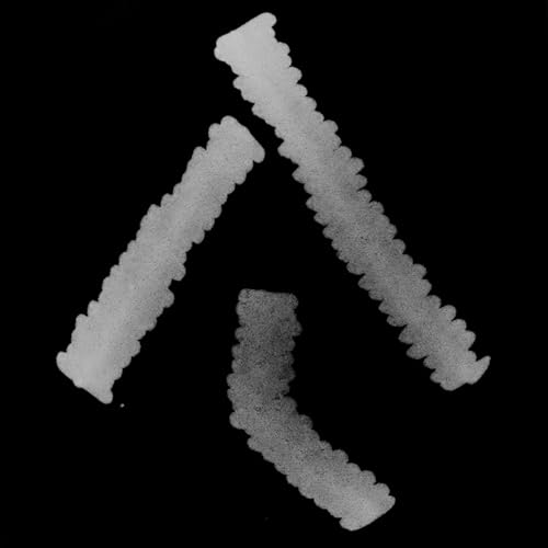 Couverture de AiR Teck Talks