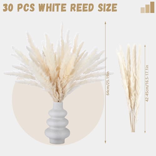 30 Pezzi Pampas Decorative Alte, 42-45CM Fiori