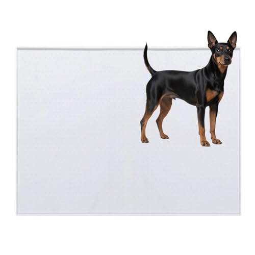 Lifetips gC}`FX^[eA gC}`FX^[eA ybggC}bg VR h ~ 􂦂  L V[gh~ g[p t[Oی ybggC}bg VR}bg ΍ gCV[gŒ h