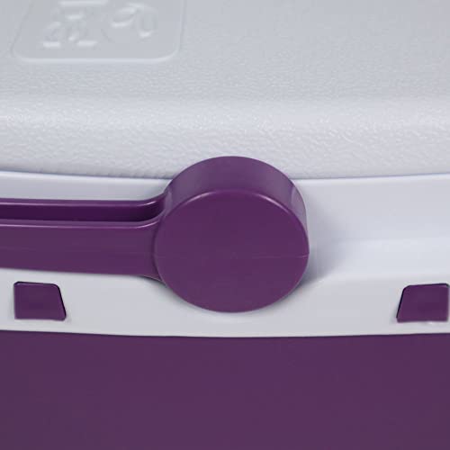 CAIXA TERMICA 6L BEL - ACAI