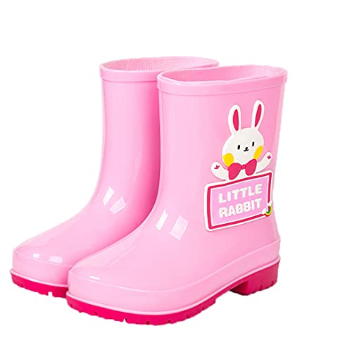 [rainfreem] Cu[c LbY Obv CV[Y LbY ϖՐ JC j̎q  J ̎q Ȑ ʉ ʊw AEghA ~J΍ sN 24CM