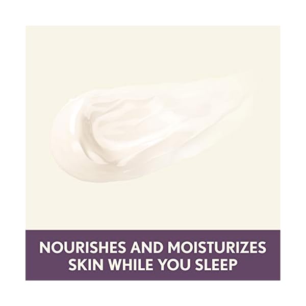 Aveeno Absolutely Ageless Restorative Night Cream Face & Neck Moisturizer with Antioxidant-Rich Blackberry Complex, Vitamin C & E, Hypoallergenic, Non-Greasy & Non-Comedogenic, 1.7 fl. oz