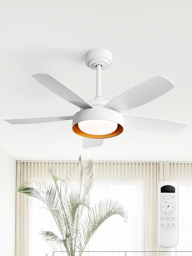Ventilateur De Plafond Avec Lumière Et Télécommande 58 Cm - Moteur DC Silencieux, 6 Vitesses, Minuterie