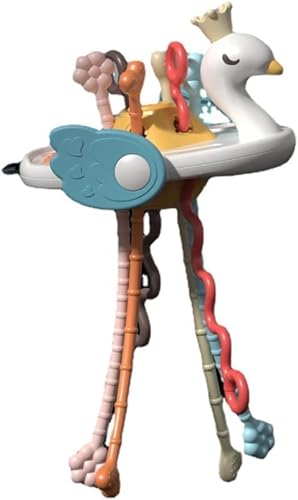 yZixuizԂ Ђ o HiO[hVR[ `s a蕨 B cAwO VJQ H21