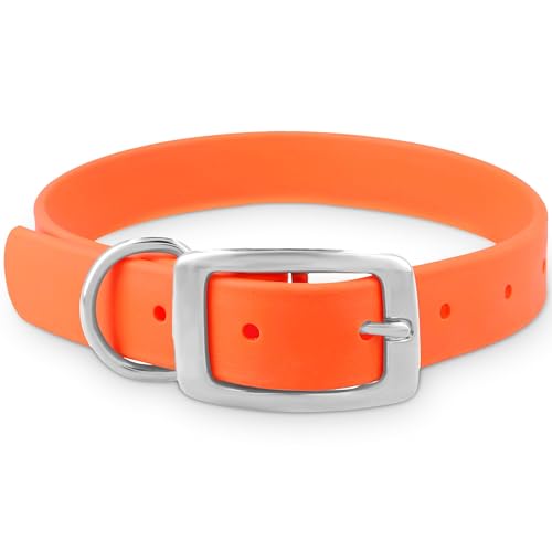 Regal Dog Products Large Orange Dog Collar with Heavy Duty Double Buckle & D Ring | Vinyl Coated...