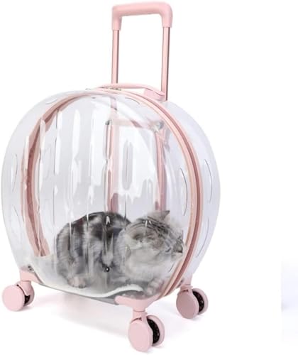 LX[cP[X LX^[t ybgL[obO ybgJ[g bN pLp  ʋC U s ʉ@ hЗp s Oo y  (sN,C)