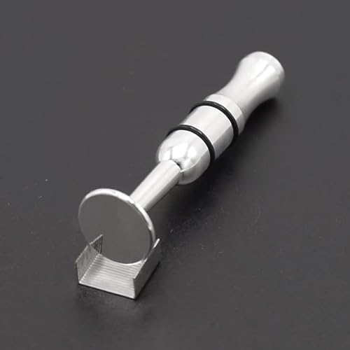 Best Trumpet Embouchure Expert Review The Modern Record