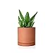 4x4 Teracotta clay planter x12