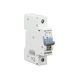 Sa courbe de déclenchement est de type C et elle a une capacité de coupure de 6 000 A et une tension de travail de 240-415 V AC.