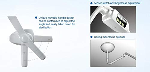 Aphrodite Dental Oral Light Lamp Operating Exam Lamp 6 Led Lens Ceiling-Mounted With Arm #TOP6