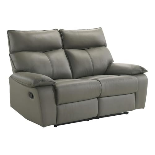 Murray Motion Loveseat in Aviarah Gray