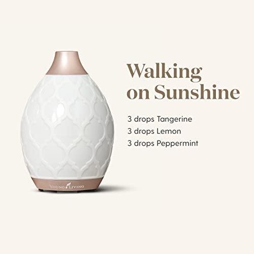 Young Living Essential Oil Home Ultrasonic Desert Mist Diffuser #TOP4