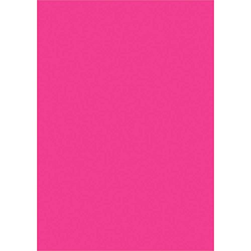 タカ印 ポップ用紙 13-3193 ケイコーポスター B4判 10枚 桃