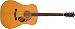 Fender 6 String Acoustic-Electric Guitar, Right, Natural (970310321)