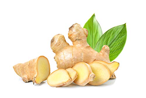 Bio Ingwer | Frischer Ingwer aus biologisch zertifiziertem Anbau | Fresh Ginger (Biologisch, 1000 g)