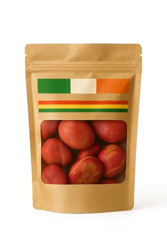 Nueces de Cola orgánicas de Costa de Marfil, formato pequeño, bolsa con cremallera 100 g