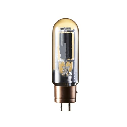 Tube 845B pour sublimer la musique de votre salon